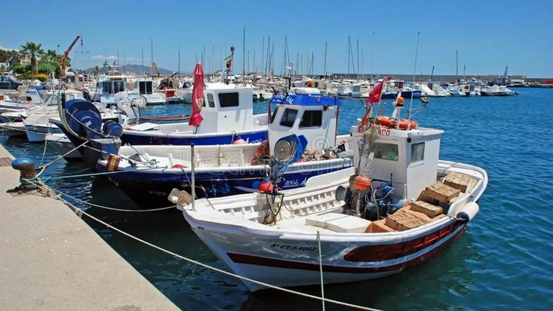 Apartamentos Paraiso: Beachfront Suite with Private Pool and Sea Views Playas de Vera 0*,  Spain